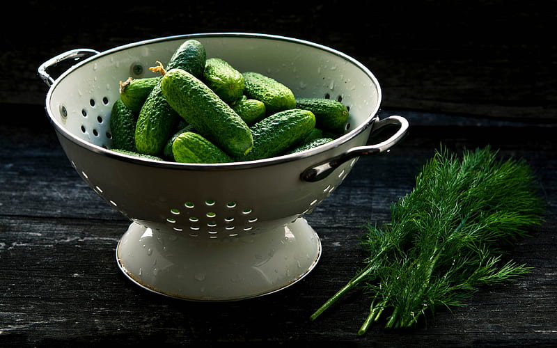 Cucumbers and Dill, still life, vegetables, dill, cucumbers, HD wallpaper