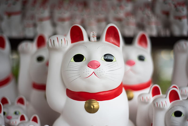 pile of Japanese lucky cat, HD wallpaper