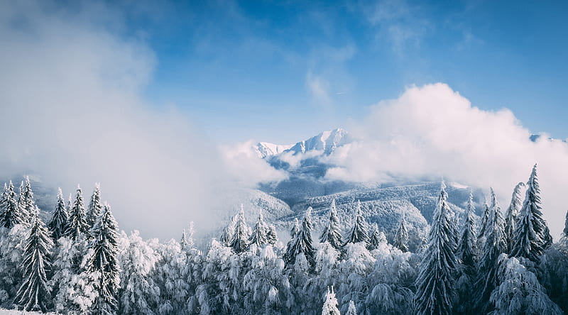 Mountain Landscape Winter Ultra, Seasons, Winter, Landscape, Mountain, HD wallpaper