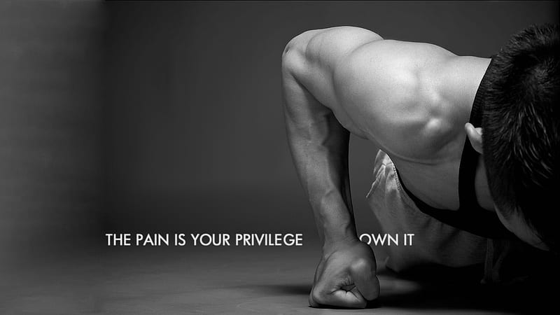The Pain Is Your Privillege Own It Inspirational, HD wallpaper