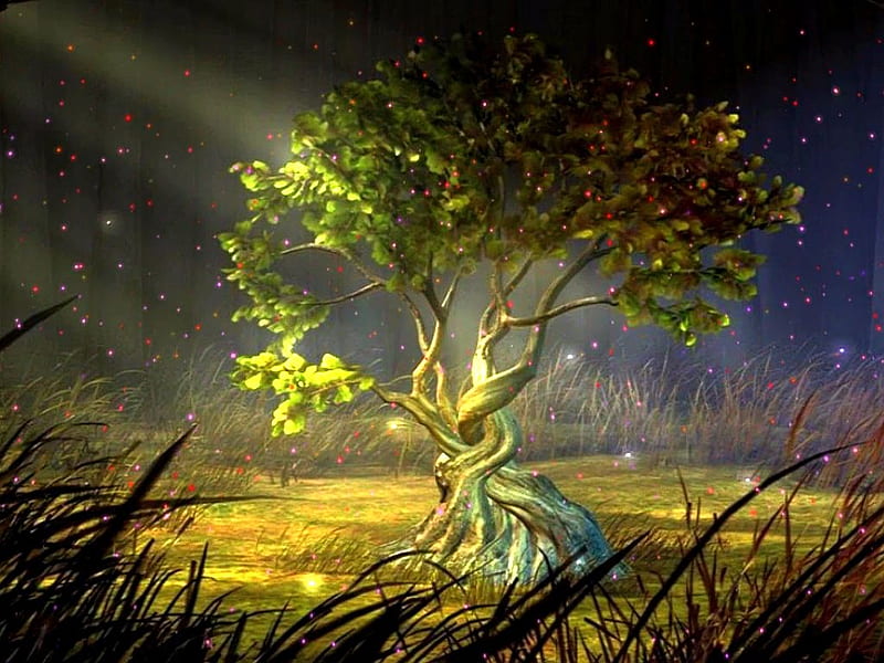 A spirit tree????..'lol', magical, spirit, mystical, tree, HD