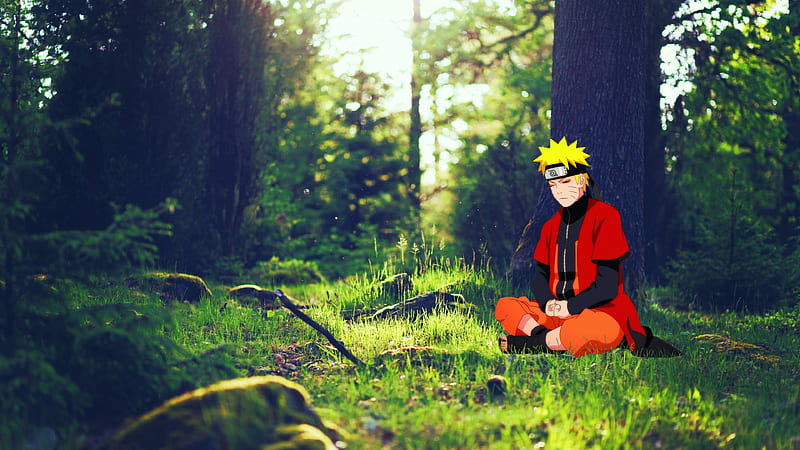 Naruto-forest, anime, forest, naruto, HD wallpaper