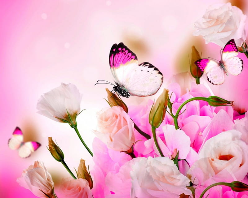 Butterflies and Pink Flowers, flowers, petals, butterflies, pink, HD ...