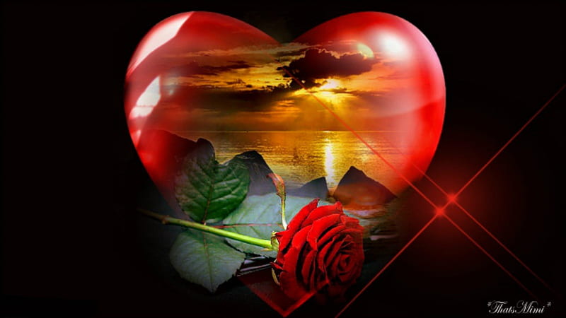 Endless Love, valentines, red, rose, love, black, sunset, HD wallpaper