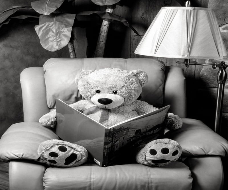 Teddy bear bear, black, white, HD wallpaper | Peakpx Teddy bear bear, black, white, HD wallpaper | Peakpx