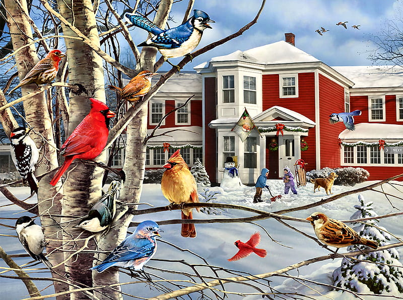 Winter Gathering F1C, bonito, illustration, artwork, cardinals, house finch, chickadees, painting, wide screen, sparrow, scenery, art, nuthatches, winter, snow, four seasons, blue jay, woodpecker, landscape, HD wallpaper