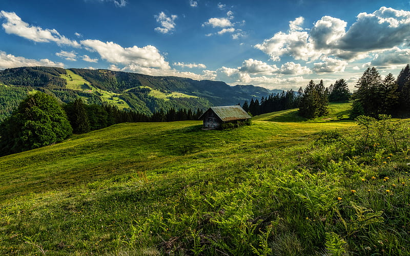 Germany, summer, meadow, mountains, Bavaria, R, beautiful nature, HD wallpaper