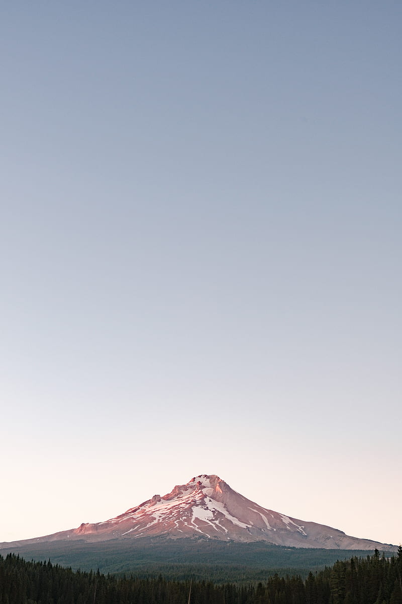 mountain, peak, snow, snowy, trees, HD phone wallpaper