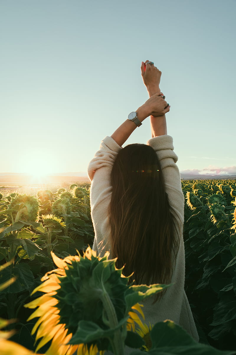 woman surrounded by sunflowers, HD phone wallpaper