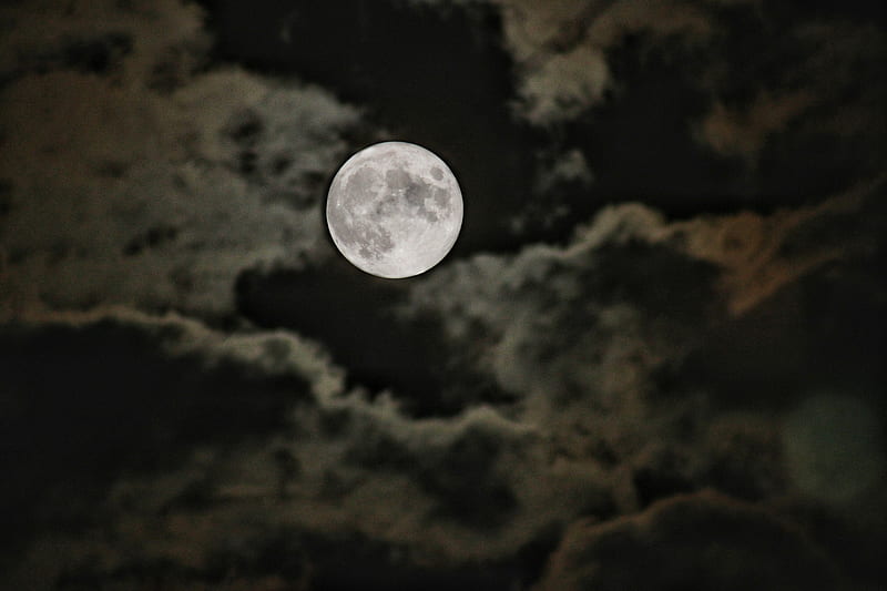 Luna llena, buenas noches, noche, Fondo de pantalla HD | Peakpx