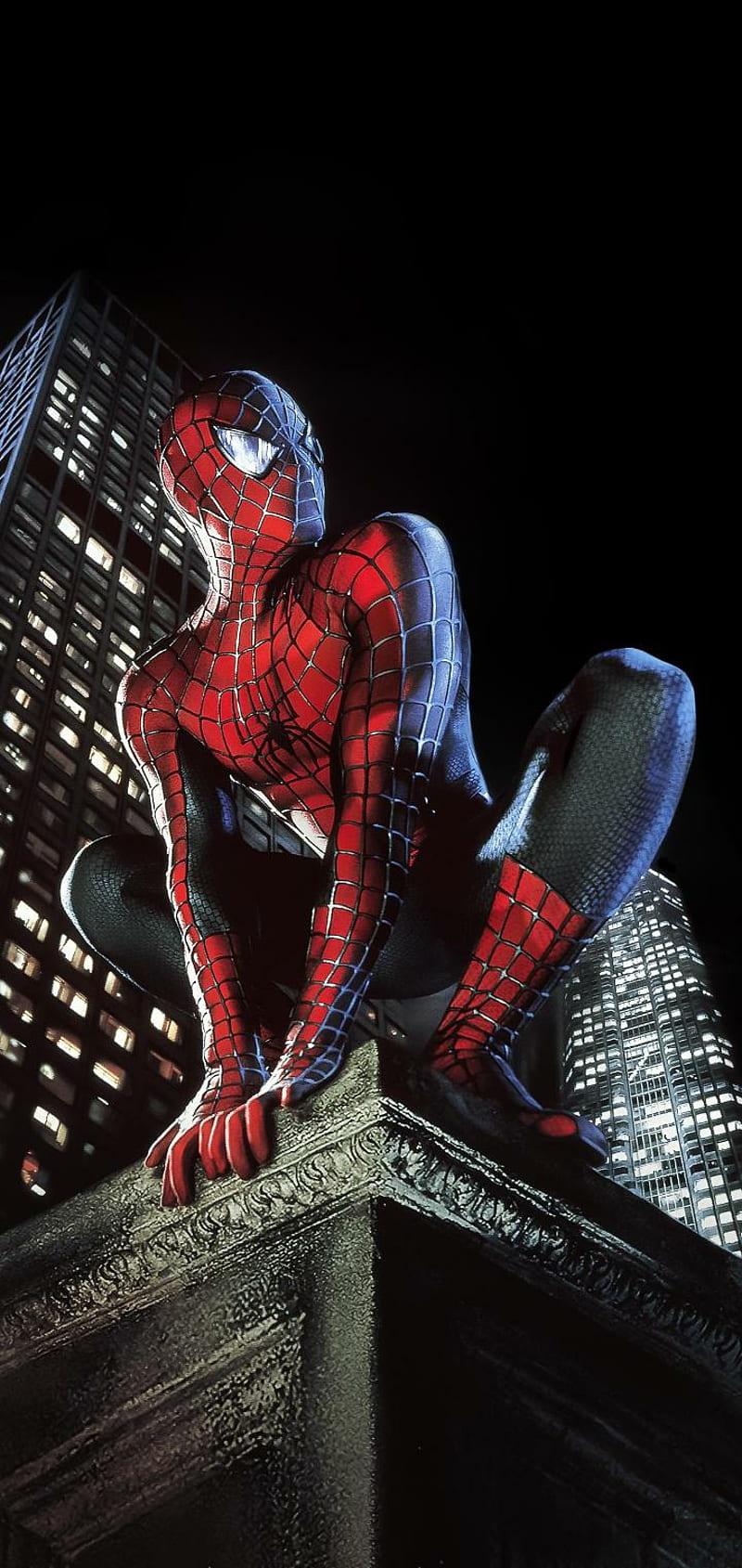 Spider Man, nature , new york, HD phone wallpaper