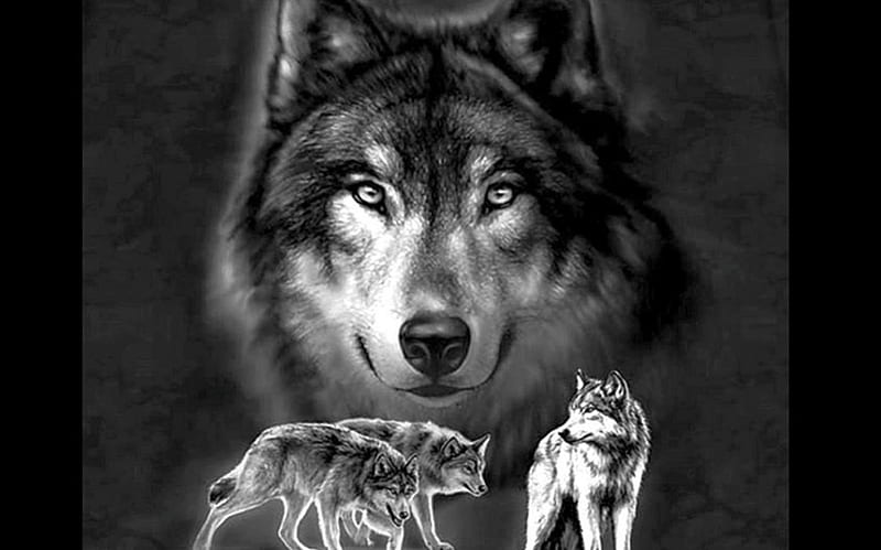 Wolves, painting, nature, Wolf, animals, HD wallpaper