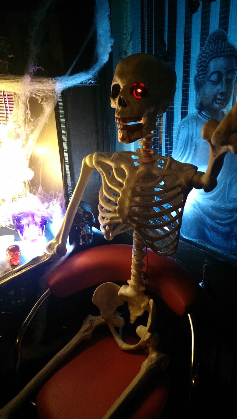 Scary Dude, dead, fun, halloween, scary, skeleton, HD phone wallpaper