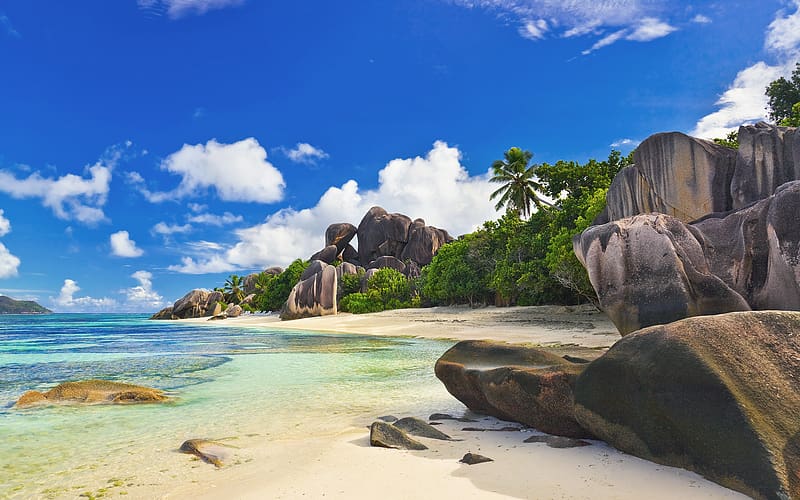 Water, Beach, Sand, , Tropical, Seychelles, HD wallpaper | Peakpx
