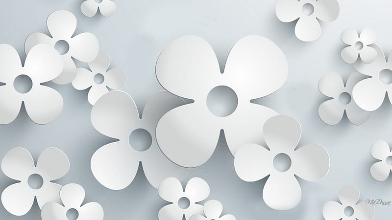 Cut Out Paper Flowers, modern, 3D, gray, black and white, flowers, shadow, abstract, HD wallpaper