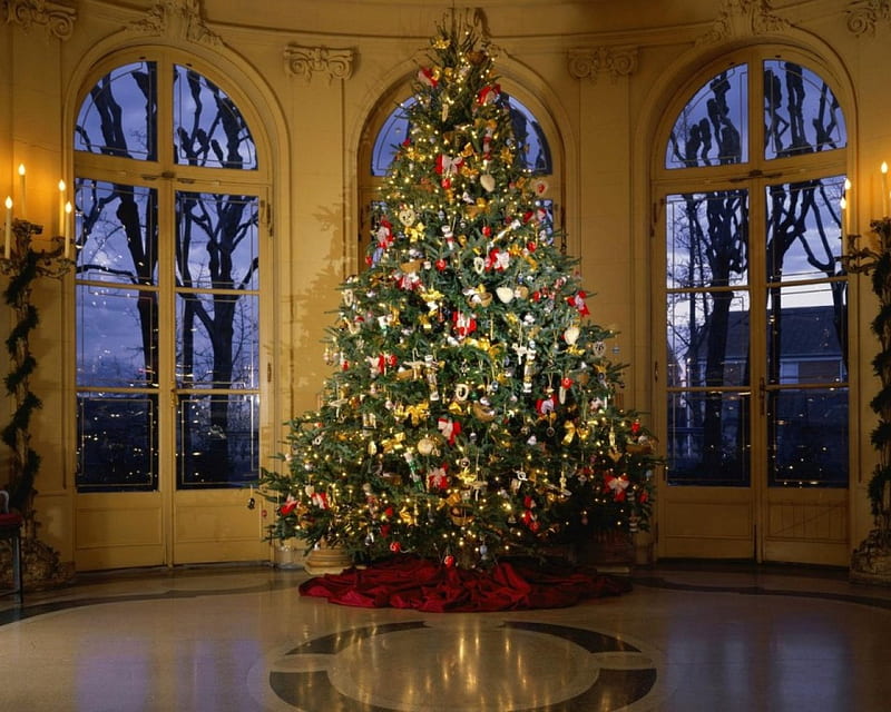 Beautiful Christmas Tree, frumos, minunat, ornat, unbrad, HD wallpaper