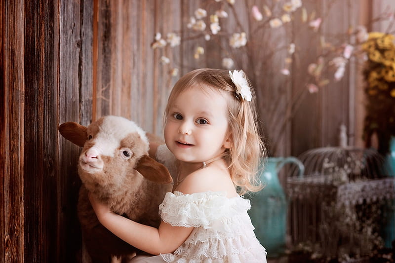 :), sheep, cute, girl, copil, lamb, child, animal, HD wallpaper