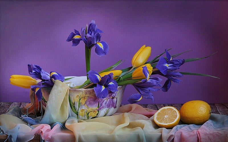 tulips & irises, still life, flowers, irises, tulips, HD wallpaper