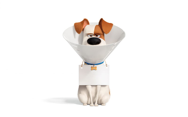 The Secret Life of Pets 2, 2019, poster, promo, characters, Max, dog, Jack Russell Terrier, HD wallpaper