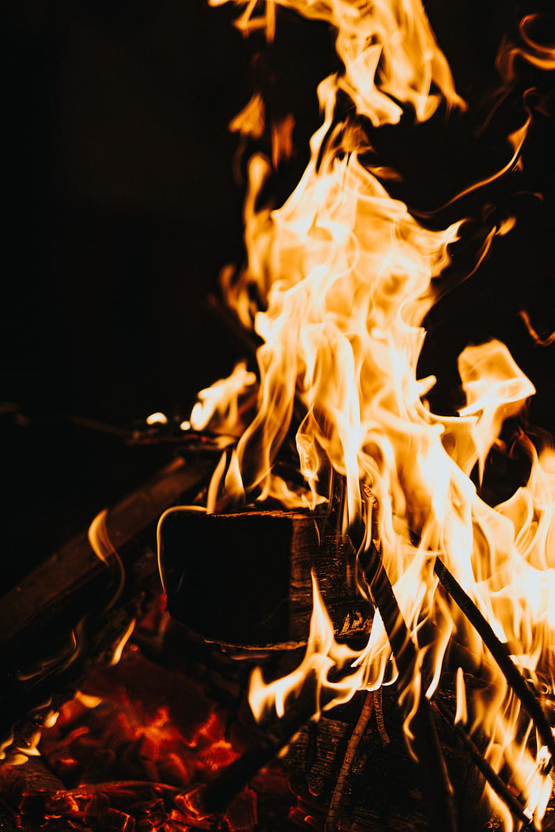 bonfire, flame, fire, wood, burn, HD phone wallpaper