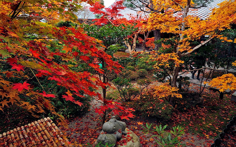 Autumn iceberg -Enkoji Temple Autumn, HD wallpaper