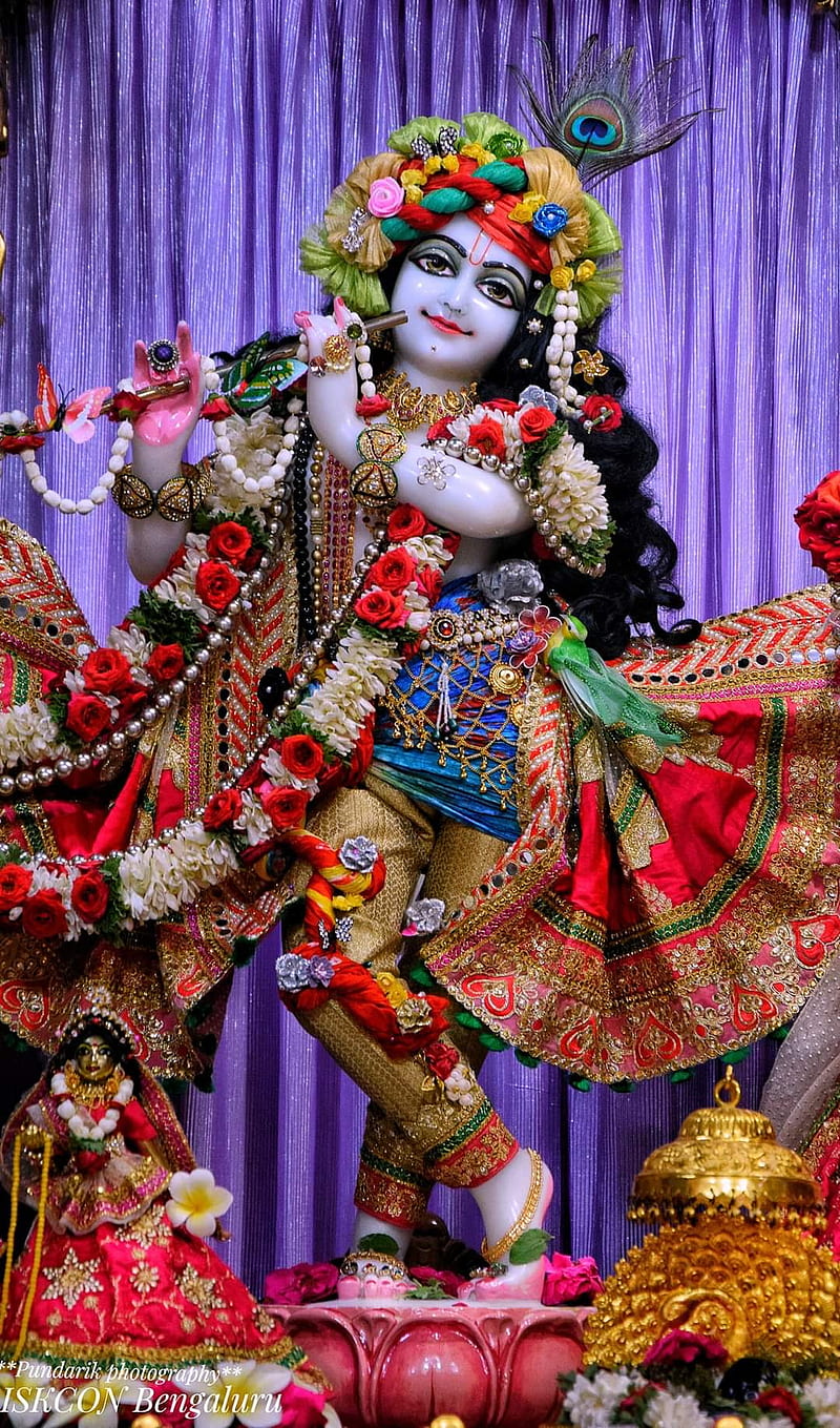 Krishna, radhakrishnan, hare krishna, india, radharani, HD phone ...