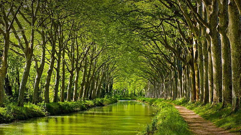 Canal du Midi, Toulouse, France, Built in 17th century, 150 miles long, 241 km, Designed to serve the wheat trade, HD wallpaper