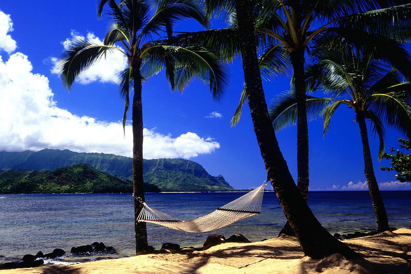 Afternoon Nap, Kauai, Hawaii, sand, hammock, trees, clouds, sea, palms, HD wallpaper
