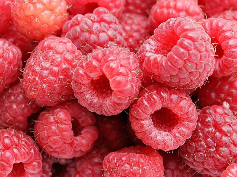 Fresh Raspberries . jpg, berrys, taste, rasberrys, sweet, HD wallpaper
