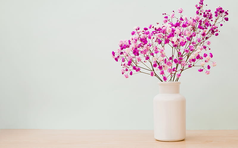 purple spring flowers, flower vase, stylish pink vase, flowers on the table, spring, beautiful flowers, HD wallpaper