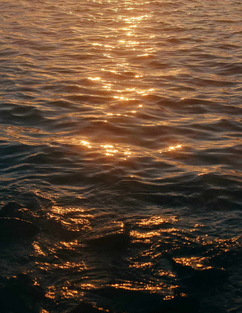 calm sea during golden hour, HD phone wallpaper