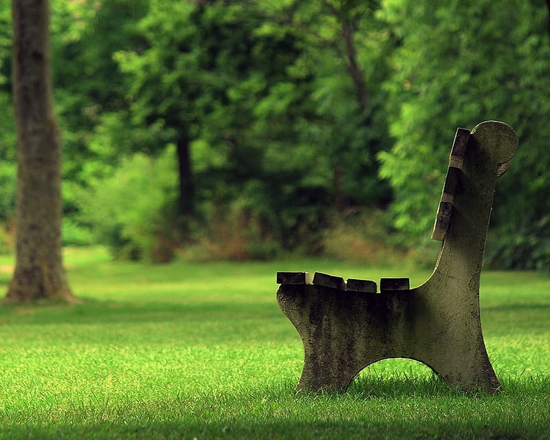 Park Bench, forest, natural, nature, new, nice, trees, HD wallpaper