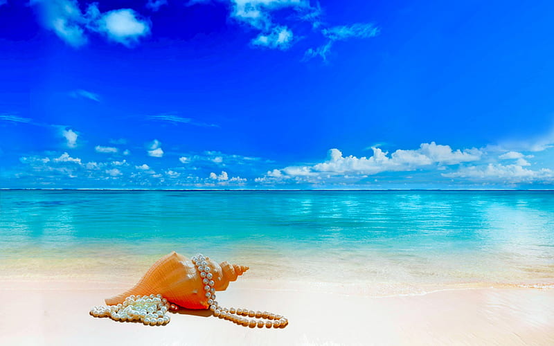 Sea and shell, beach, Sea, pearls, shell, HD wallpaper