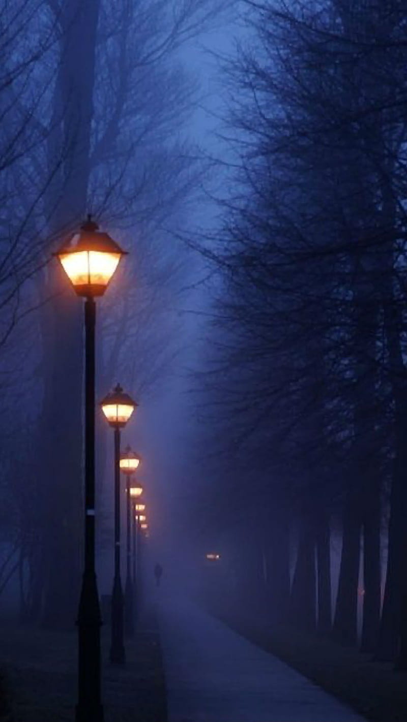 Foggy Night Paris, fog, france, lamp, lamps, path, pathway, street, HD phone wallpaper