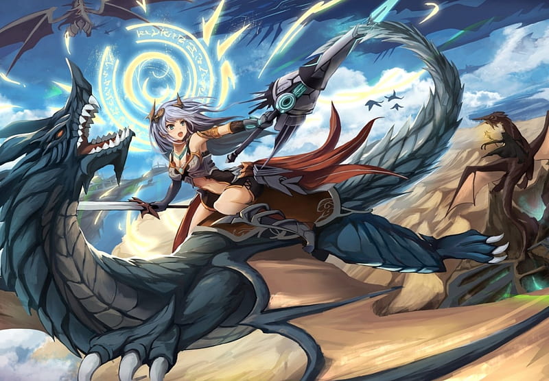 Dragon rider, lance, girl, anime, dragon raider, dragon, sword, HD  wallpaper | Peakpx