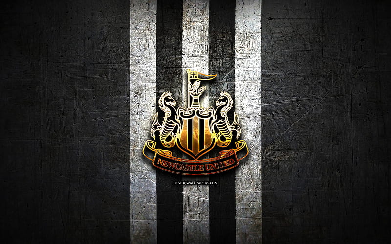 Newcastle United F.C., newcastle, soccer, the magpies, newcastle united, logo, football, emblem, newcastle united fc, sport, HD wallpaper