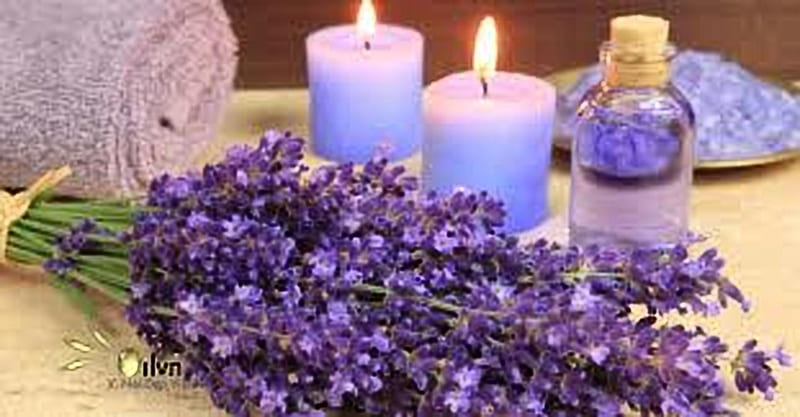 Spa treatment, Oil, Lavender, Candles, Towel, Flowers, HD wallpaper
