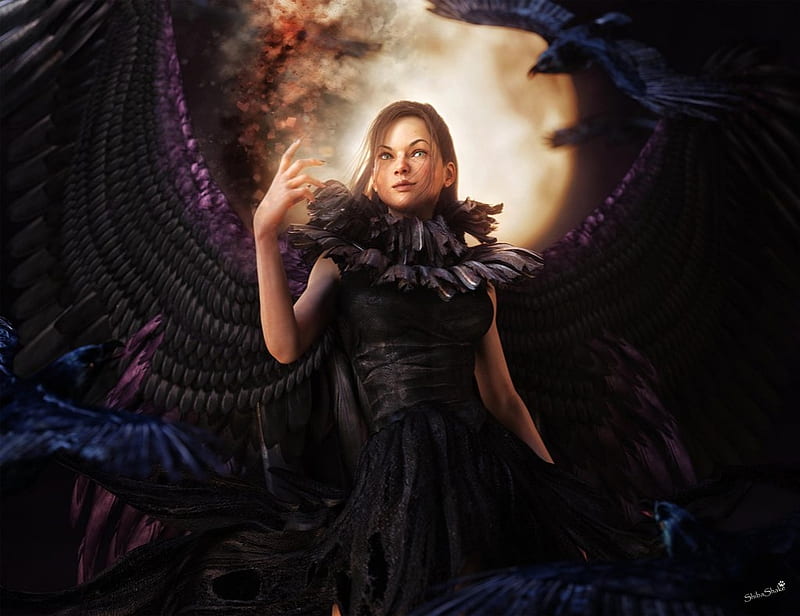 Raven woman, wings, raven, moon, luminos, black, woman, fantasy, moon ...