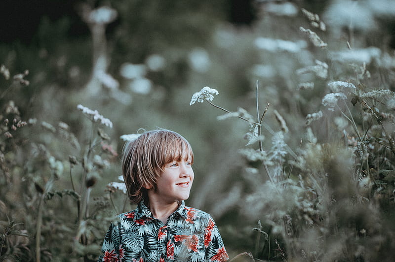 boy's red and green floral button-up collared top smiling facing grasses, HD wallpaper