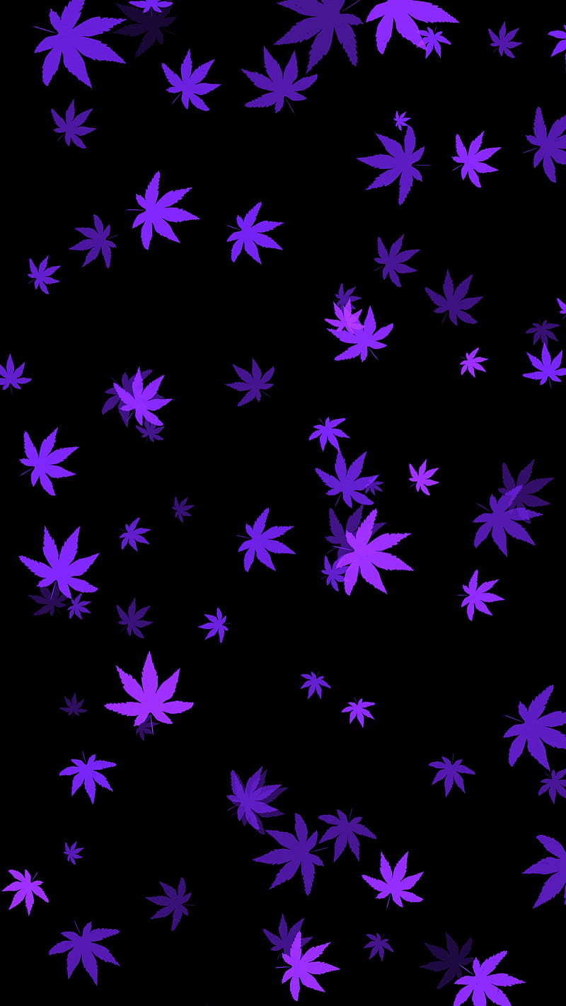 w**d purple black, cool, grass, leaf, pattern, simple, texture, HD phone wallpaper