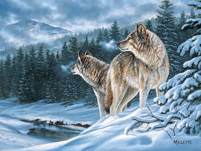 Winter Companions, predators, snow, wolfpack, painting, wolves, artwork, landscape, HD wallpaper