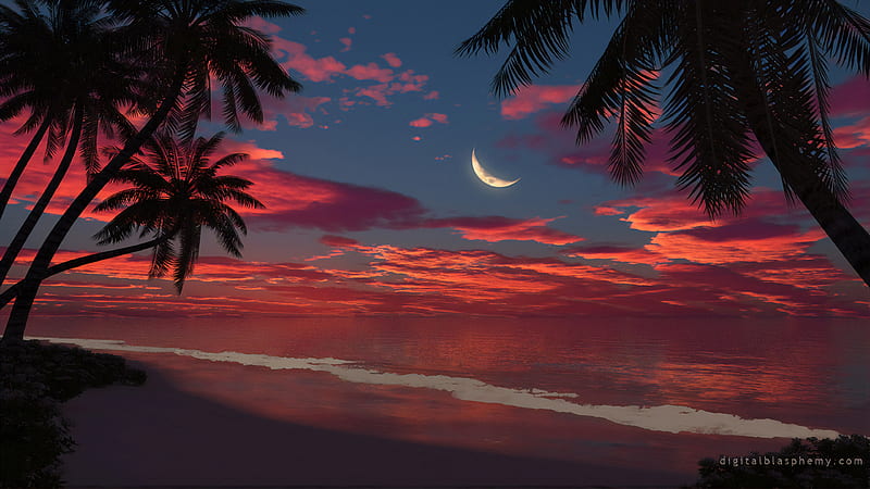 night, dblasphemy, blue, red, cloud, moon, sky, sea, vara, water, moon, summer, palm tree, HD wallpaper