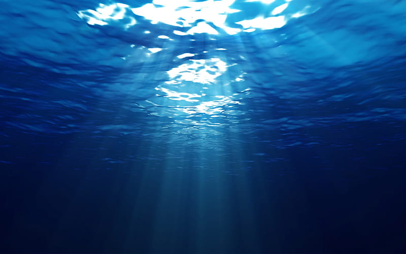 Under Sea / Water, under water, water, sea, blue, under, HD wallpaper