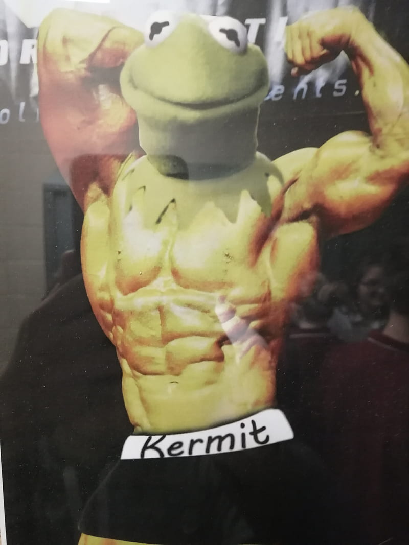 Kermuscle, funny, kermit, strong, HD phone wallpaper