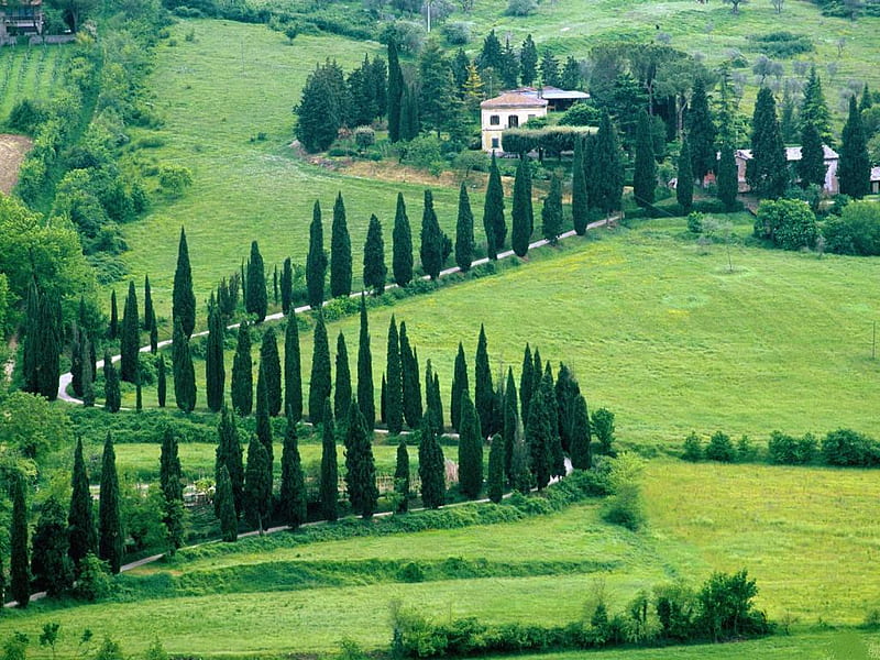 Scenery-Near-Orvieto-Umbria-Italy, house, green, grass, nature, trees, scene, HD wallpaper