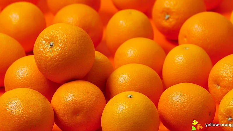 Multiple Fresh Orange Fruits Orange, HD wallpaper
