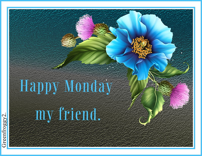 HAPPY MONDAY, COMMENT, MONDAY, CARD, HAPPY, HD wallpaper