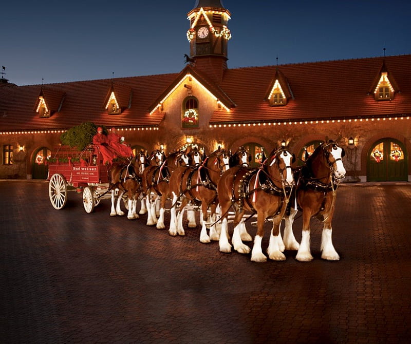 Christmas Clydesdales, budweiser clydesdales, budweiser, christmas horses, clydesdales, HD wallpaper