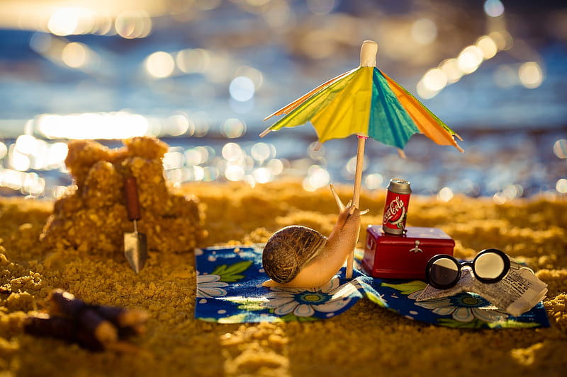 :), beach, sand, vara, snail, umbrella, summer, funny, sea, water, HD wallpaper