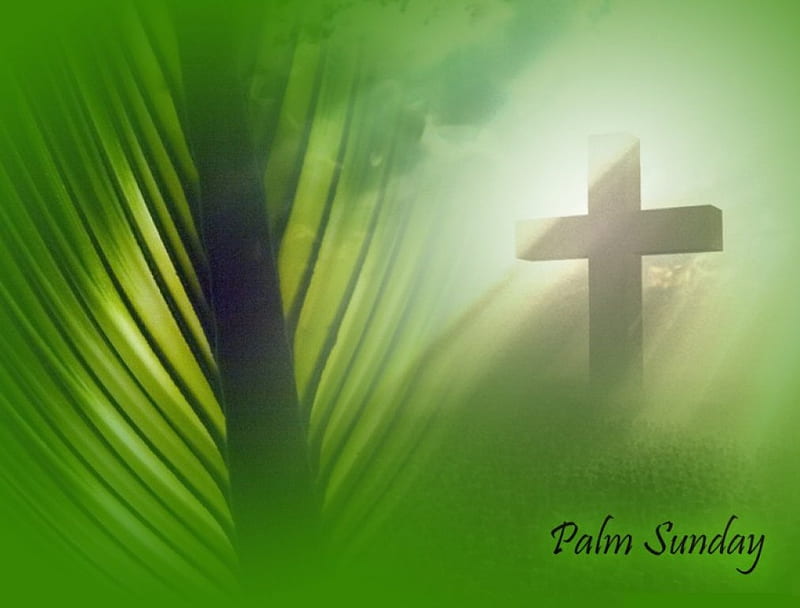 Palm Sunday, Easter, palm, cross, HD wallpaper
